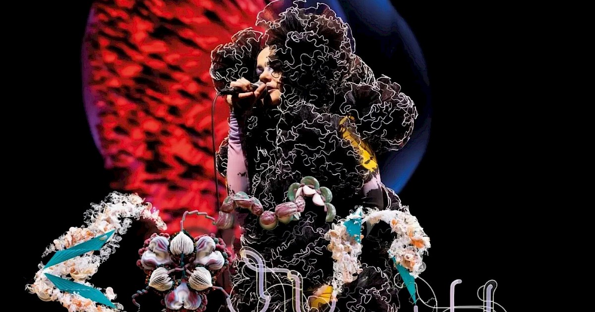 Bjork ビョーク cornucopia コーニュコピア NATURALTEE Bjork ビョーク cornucopia コーニュコピア NATURALTEE björk